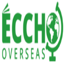 Eccho logo