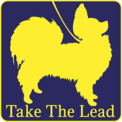 Take The Lead logo
