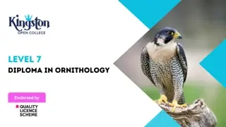 Level 7 Diploma in Ornithology - QLS Endorsed