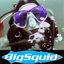 Big Squid Diving