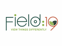 Field 19