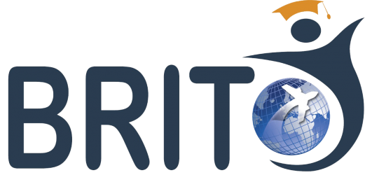 Brit Recruitment Consultant logo