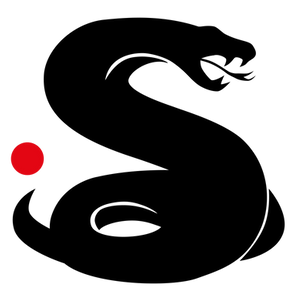 The Spin Academy logo