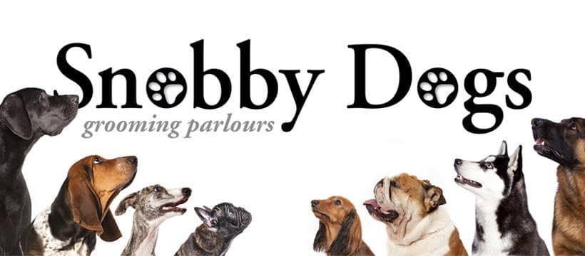 Snobby Dogs Academy Ltd