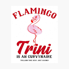 The Trini Flamingo logo