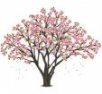 Almond Tree Care Ltd