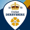 Derbyshire Cricket Foundation Ltd logo