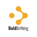 Bold Birthing - The Wise Hippo Hertfordshire logo