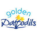 Golden Daffodils