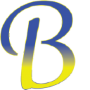 Birdies Driving School (BDS) logo