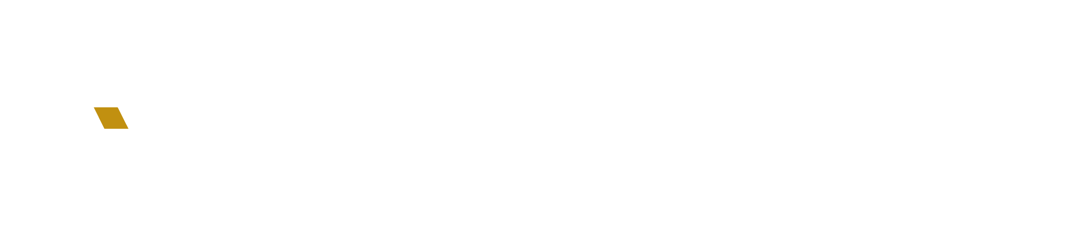 Apsion Training Services logo