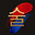 Steel Traditional Martial Arts logo