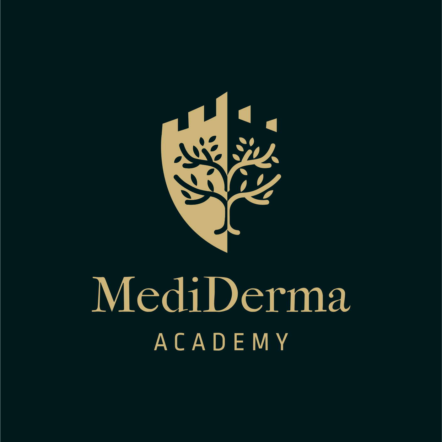MediDerma Academy logo