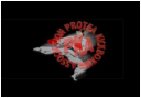 Protea Kickboxing Association