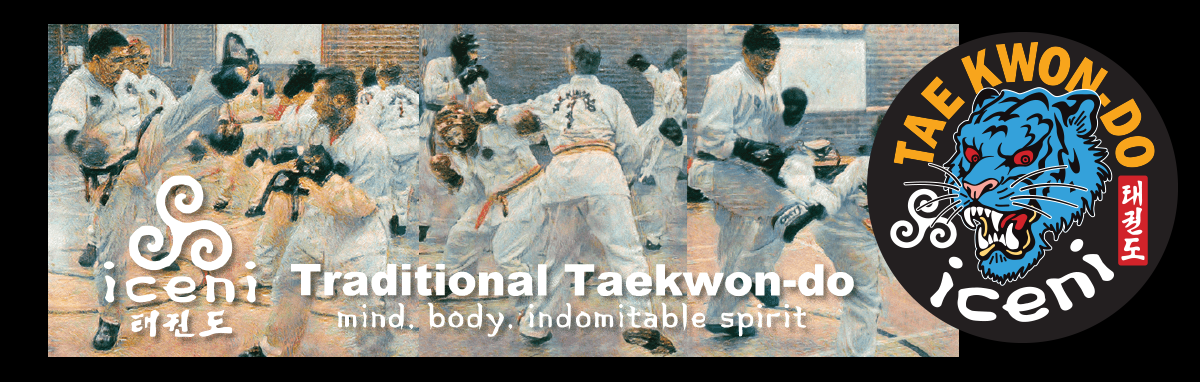 Iceni Taekwon-Do Club