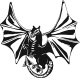 Dragon Drone Training logo
