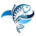 Fishing Now logo