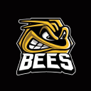 Bees Ice Hockey Club logo