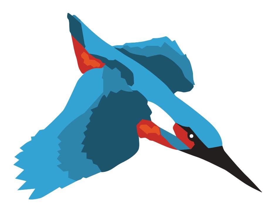 Kingfisher Access logo