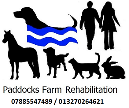 Paddocks Farm Rehabilitation