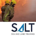 Salt Services logo