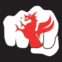 Cardiff Martial Arts logo