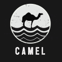 Camel Ski School logo