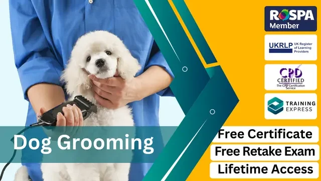 Dog Grooming Level 3 - CPD Certified Course