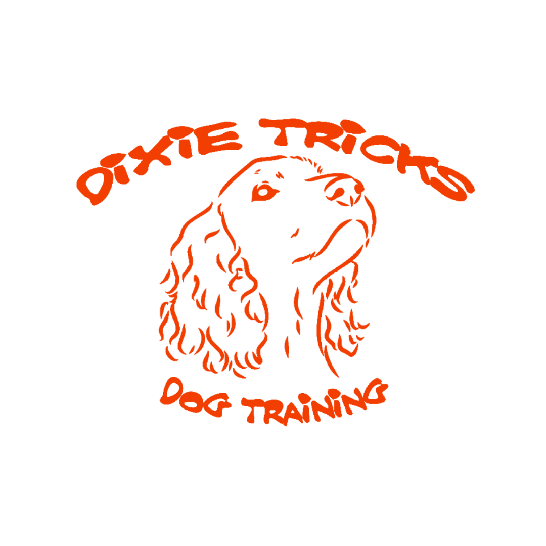 Dixie Tricks logo