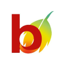 blowleaf logo