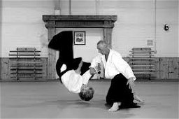 Irish Aikido Federation