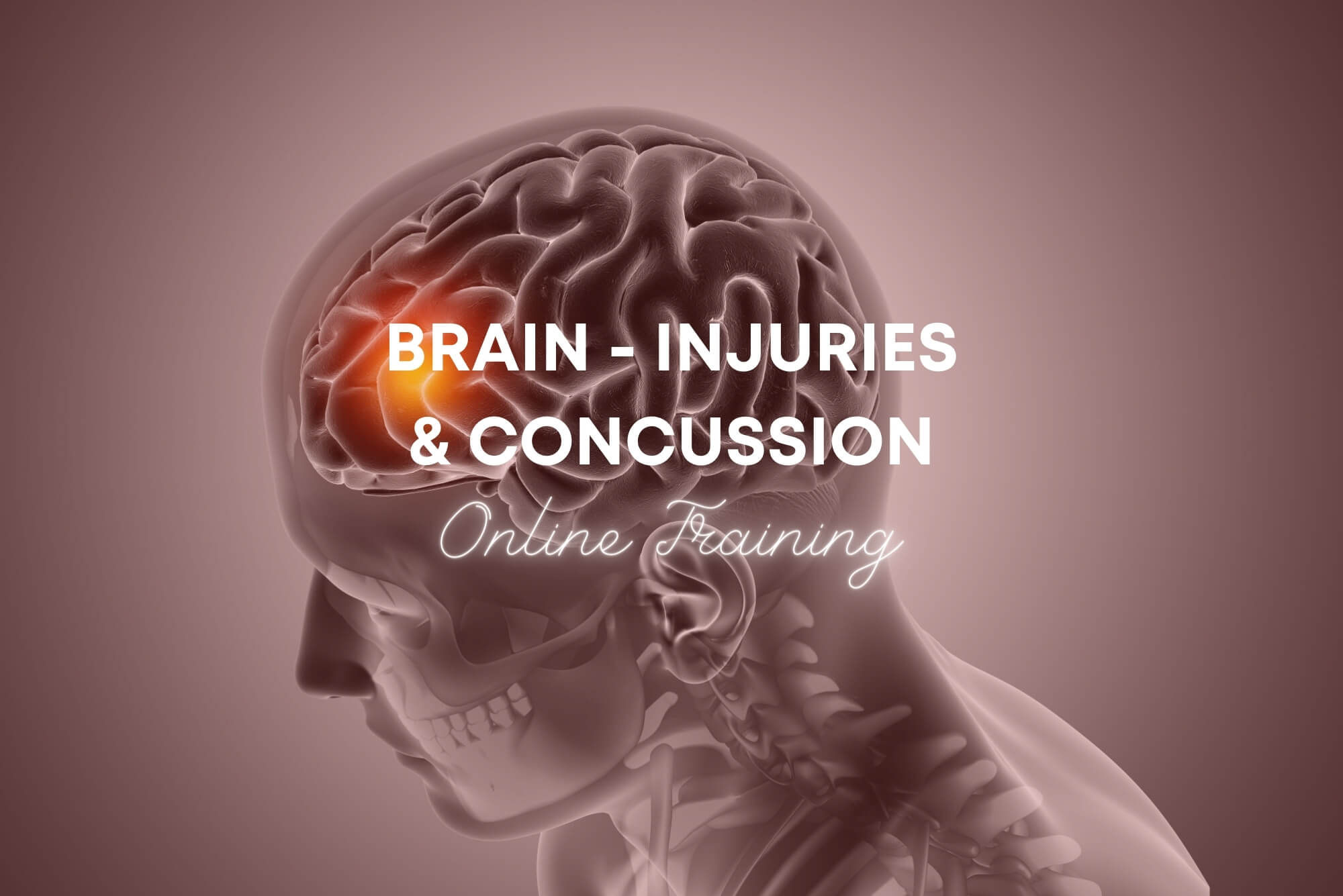 Brain - Injuries & Concussion