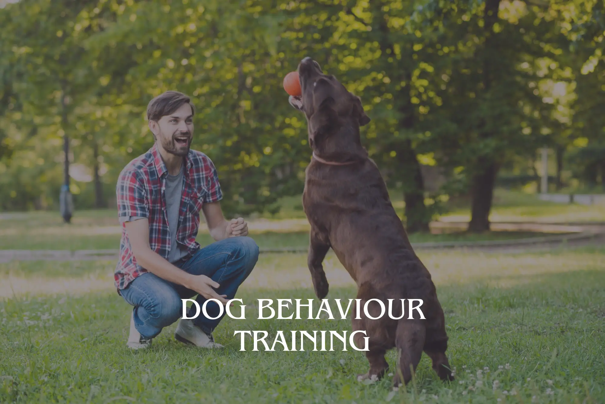 Dog Behaviour Training