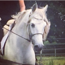 T.H.Equestrian, Whites Farm Stud