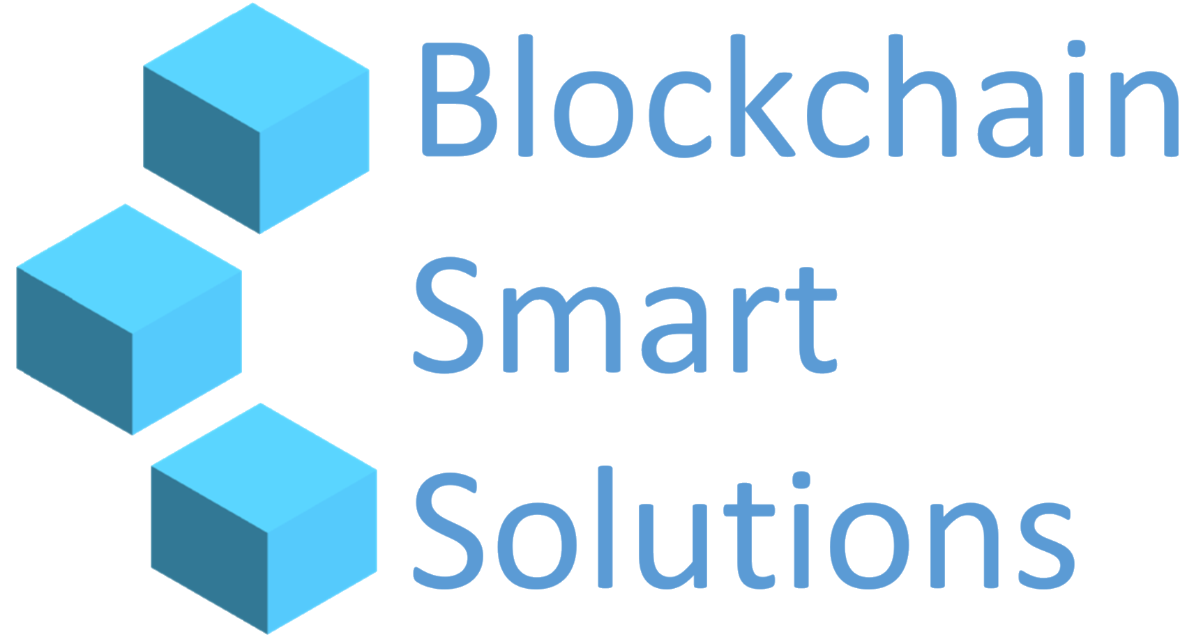 Blockchain Smart Solutions logo