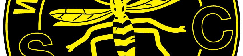 Warley Wasps Swimming Club logo