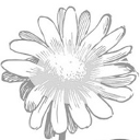 Bee Croft Blooms logo