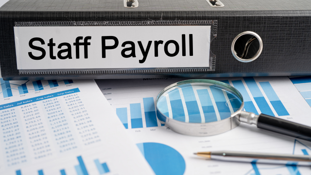 HR and Payroll Administrator Course