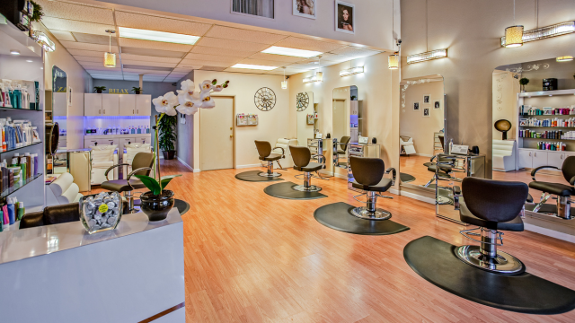 Beauty Salon Management and Marketing