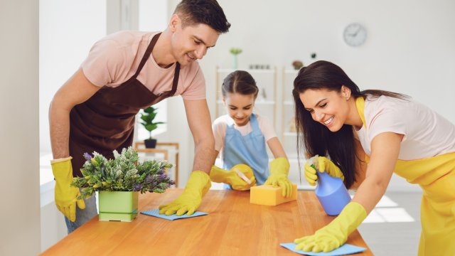 Cleaning: House-cleaning