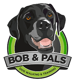 Bob and Pals Dog Walking and Training