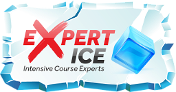 Driving Intensive Course Experts