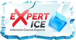 Driving Intensive Course Experts