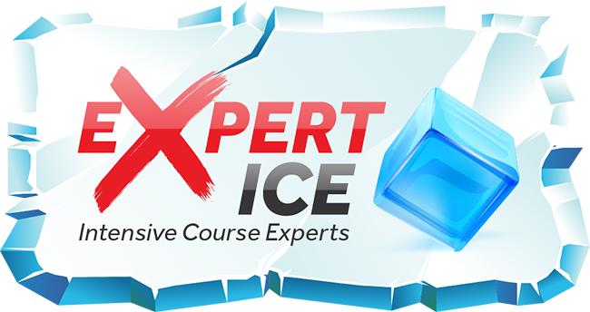 Driving Intensive Course Experts logo