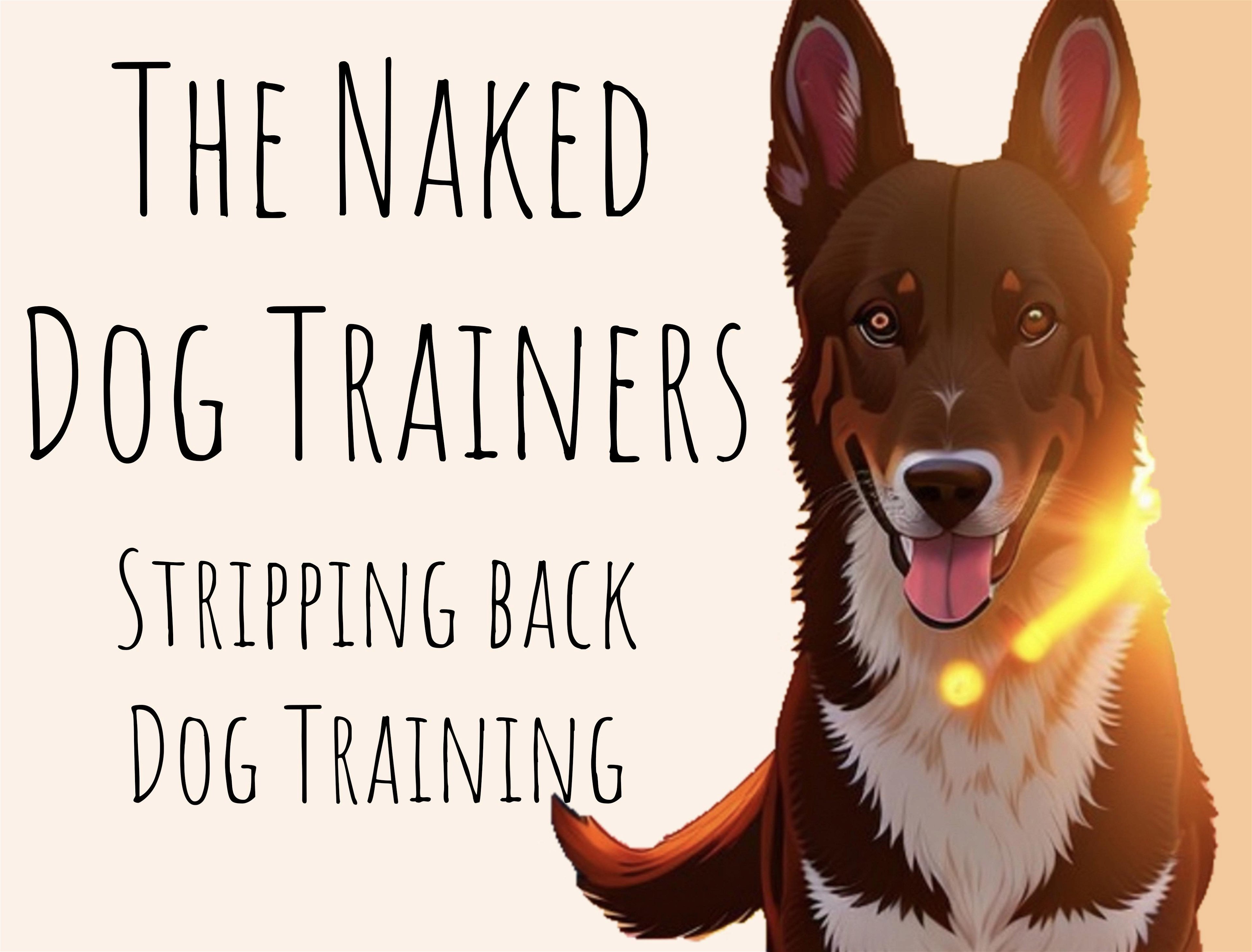 The Naked Dog Trainers logo