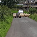 Gordano Motorcycle Training