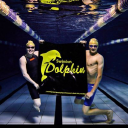 Swindon Dolphin Swimming Club