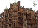 London College Of Chinese Medicine