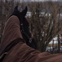 David Rumsey Dressage