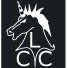 Lapworth Cricket Club logo
